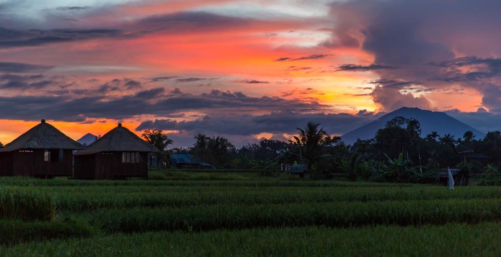 Solo Villas & Retreat Ubud Buitenkant foto