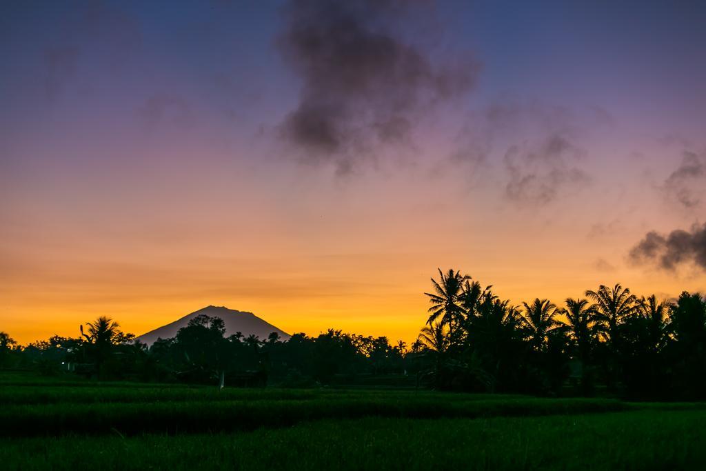 Solo Villas & Retreat Ubud Buitenkant foto