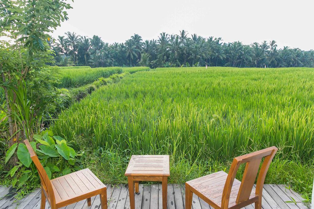 Solo Villas & Retreat Ubud Buitenkant foto