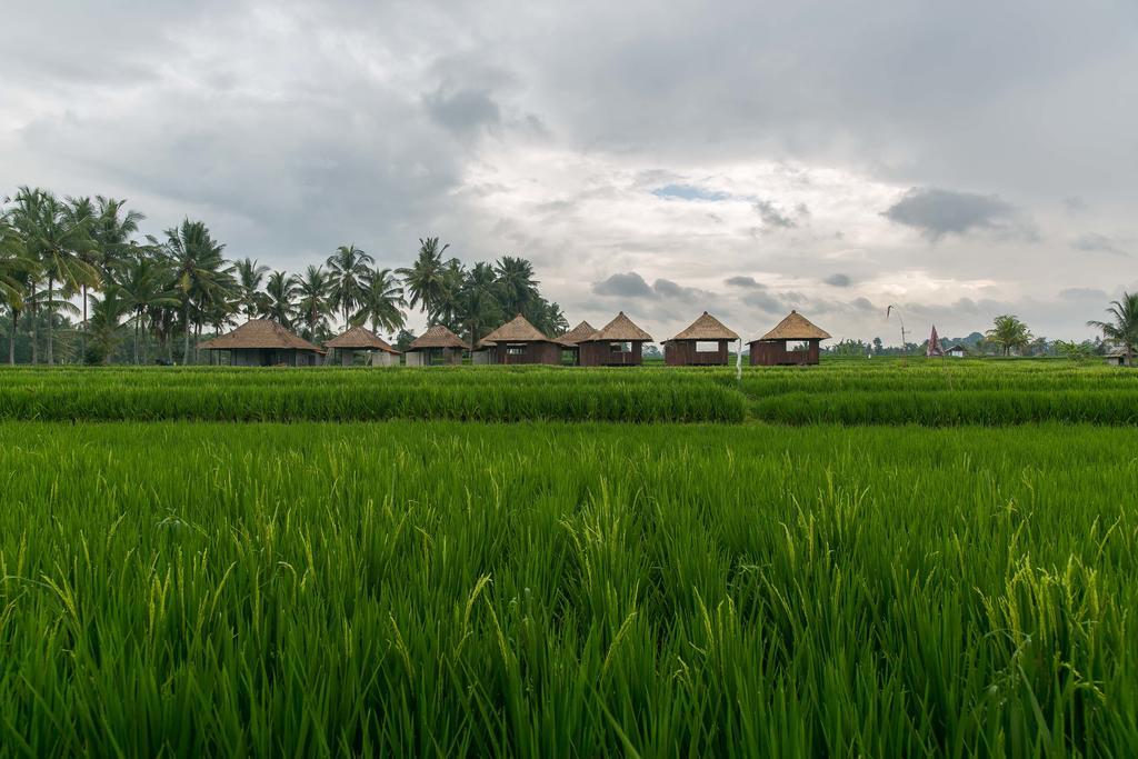 Solo Villas & Retreat Ubud Buitenkant foto